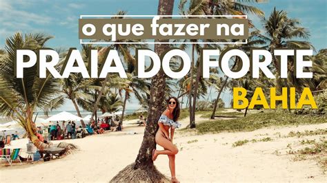 Praia Do Forte Bahia Notícias de Entretenimento