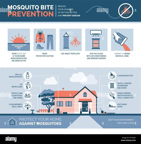 Mosquito Bite Prevention Infographic How To Avoid Mosquito Bites And