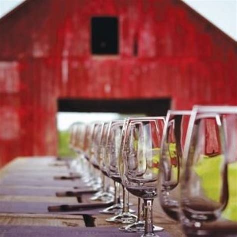 7 Amazing Northern Virginia Wineries To Add To Your List