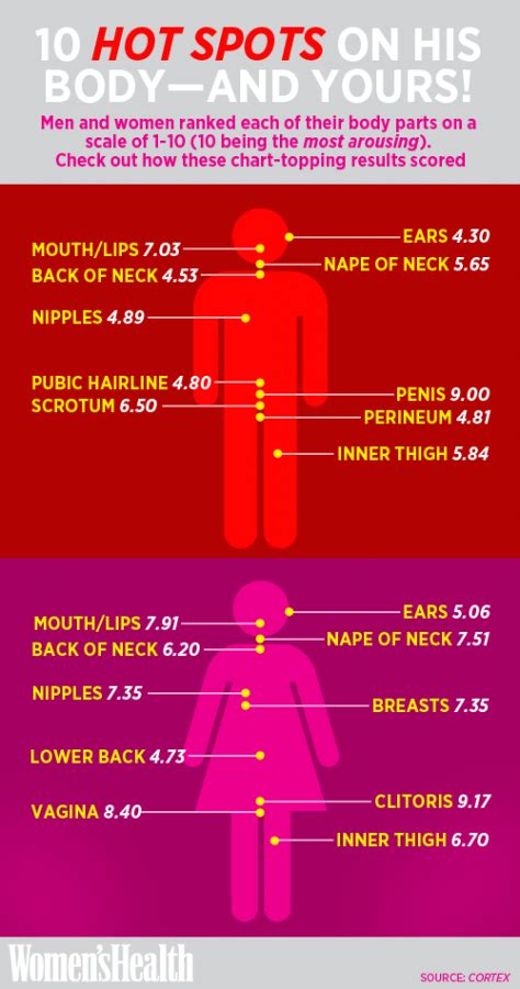 It turns out the body parts that have a high concentration of nerve endings that are particularly sensitive to touch, pressure or vibration will garner the the scalp is an erogenous zone for males and females. Want To Know His Most Erogenous Zones? This is The Guide ...