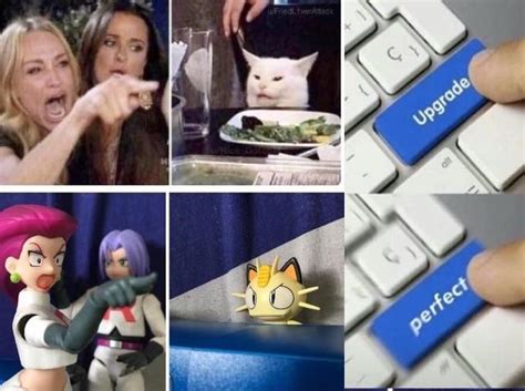 Woman Yelling At A Cat Memes Show No Signs Of Slowing Down Memebase