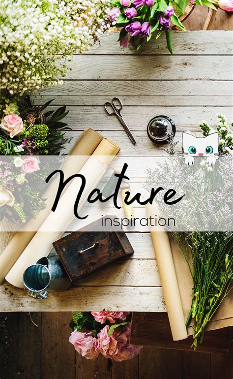 Cover Pin For My Nature Board Nature Inspiration Nature Inspiration