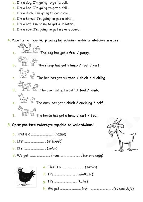 Bugs Team 2 Unit 2 Test worksheet