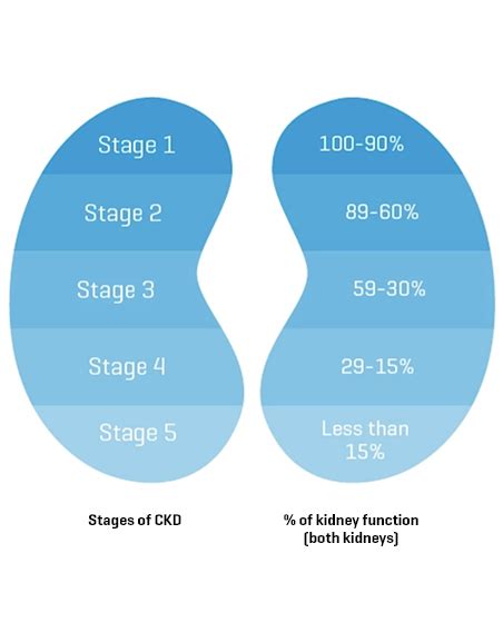 What Are The Stages Of Chronic Kidney Disease Baxter Empowers