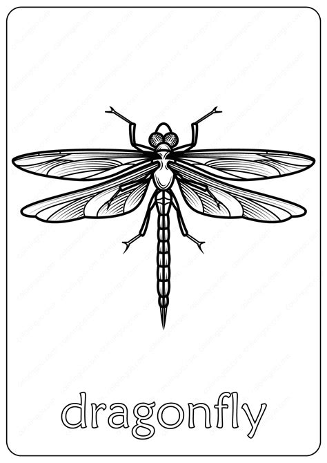 Download and print these dragonfly coloring pages for free. Animals Dragonfly Coloring Pages Book