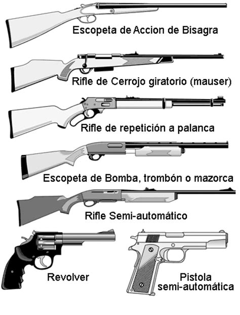 Limitación De Cartuchos En Escopetas Kilermt