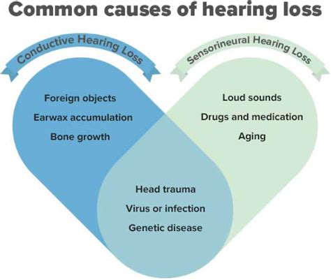 Types Of Hearing Loss Symptoms And Treatment