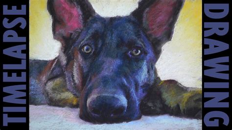 German Shepherd Dog Pastel Painting Timelapse Painting Art Painting