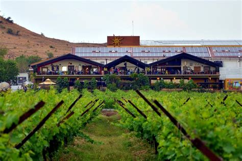 The Best Vineyards And Wineries To Visit In India Booznow
