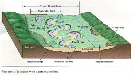 Fluvial Depositional Landforms Insightsias Simplifying Upsc Ias