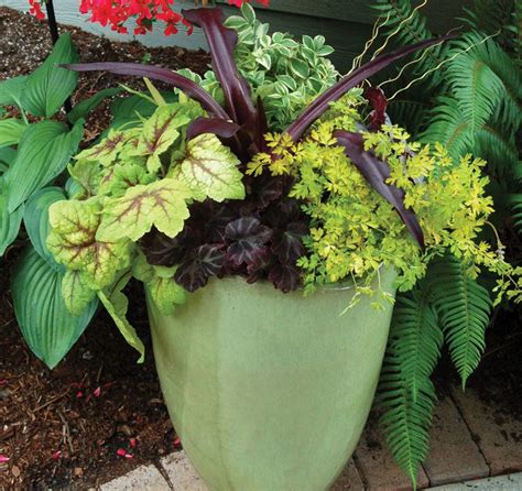 Shade Containers Chesapeake Home Living Garden Containers