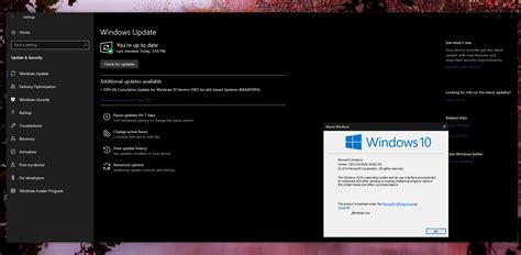 Download And Install Update Option Now Live In Windows 10 May 2019 Update