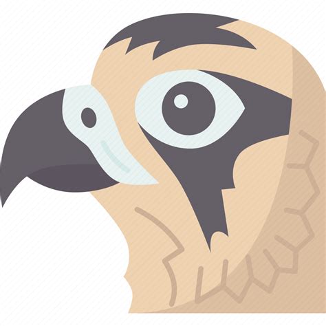 Bird Tubercle Beak Falcon Predator Icon Download On Iconfinder