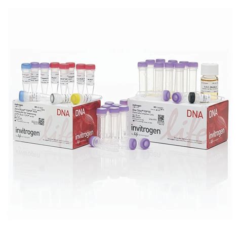 Invitrogen Zero Blunt Topo Pcr Cloning Kit For Sequencing With One