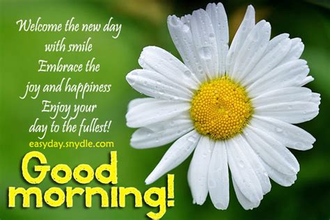 20 Beautiful Good Morning Have A Nice Day Wallpapers
