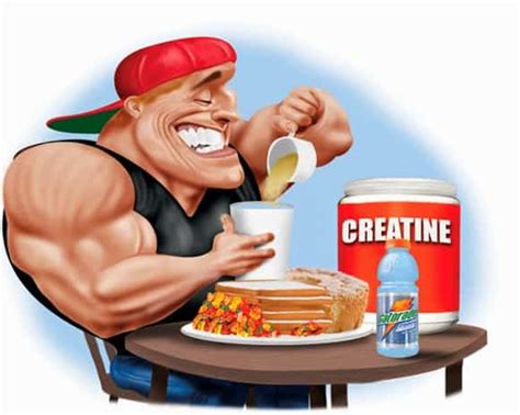 Does Creatine Help With Recovery Cantech Letter