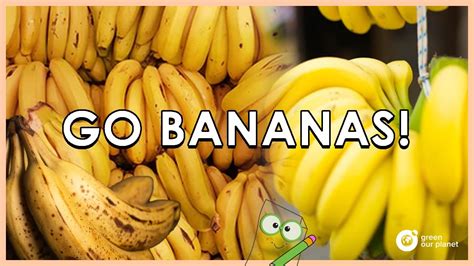 Lets Go Bananas Youtube