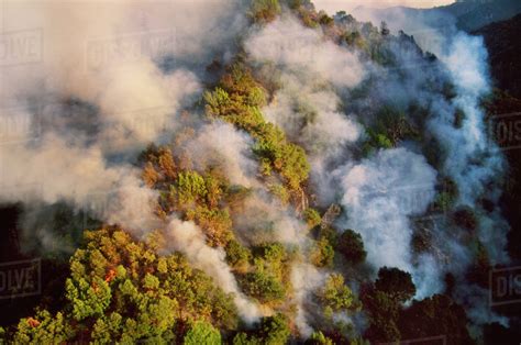 Forest Fire Aerial View Big Sur California Stock Photo Dissolve