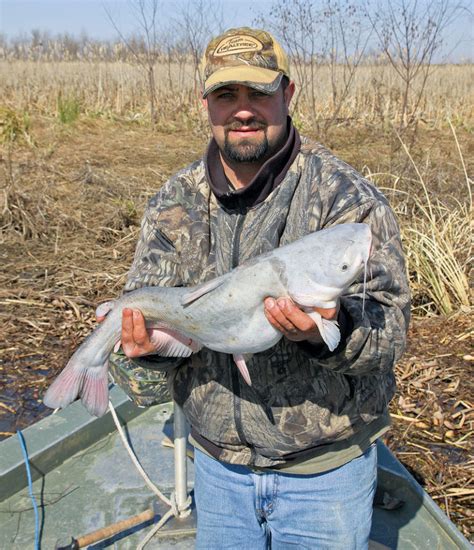 Cold Water Catfish Louisiana Sportsman