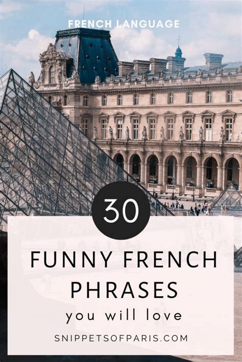 30 Funny French Phrases And Idioms Life Animals And More Snippets Of