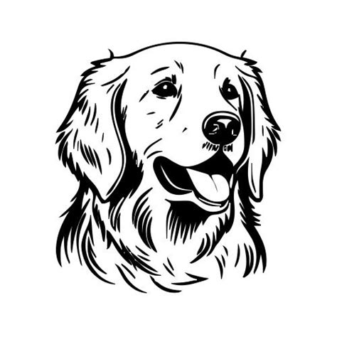 Golden Retriever Dog Head Vector Illustration Black Color Vector