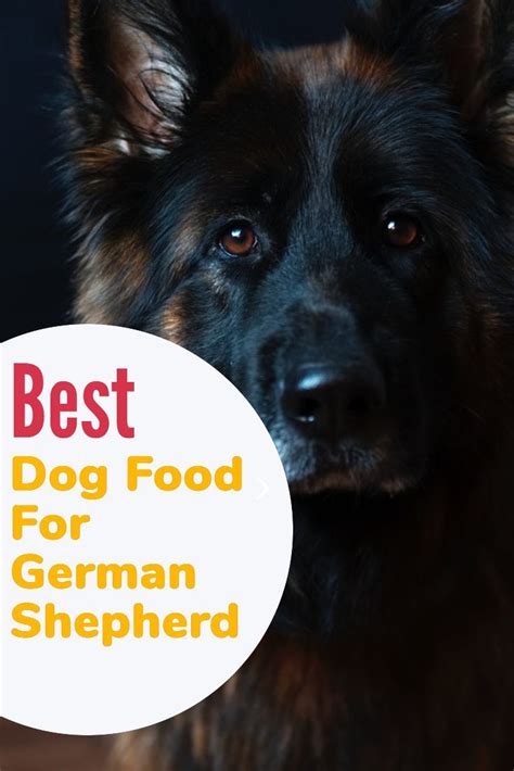 If You Want To Know Actually Best Dog Food For German Shepherd And How