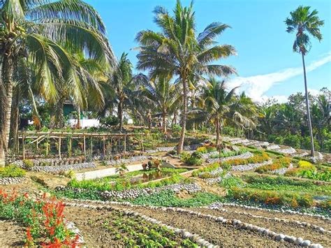 22 Farms In The Philippines For More Outdoor Fun And The Best Eco Tours