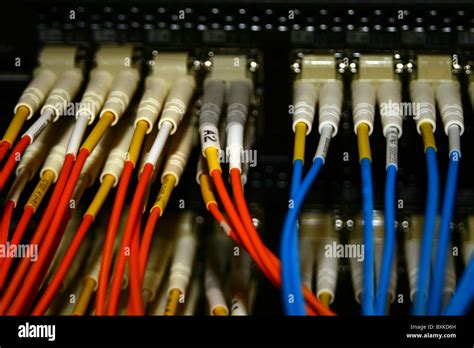 Fibre Optic Connections On An Internet Fibre Router Stock Photo Alamy