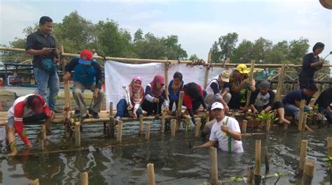Pt ppi hadir penuhi kebutuhan pupuk di kota pariaman. Pt Ppi Cikarang : 3cyxer4yqca1rm : Pt ppi, sebagai salah ...