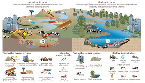 There's a ton of conflicting information out there, and recommendations keep according to shape magazine, the evidence is mixed: Unhealthy versus healthy streams | Watersheds, Chesapeake ...