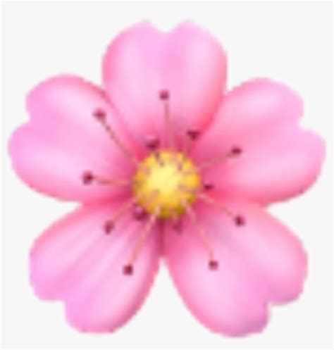 Flower Sakura Emoji Emojis Rose Sticker Ios Iphone Iphone Flower