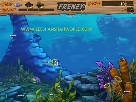 Game cung cấp 60 cấp độ thú vị, hoàn toàn mới và mang đậm tính giải trí, phù hợp với mọi lứa tuổi. Free Download Game Feeding Frenzy 3 Full Version