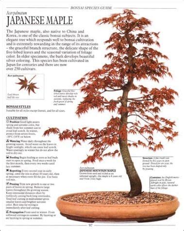 We offer a variety of books and video containing expert advice on growing, training and caring for bonsai trees for both the beginner and experienced bonsai enthusiast. Best Bonsai Books | Bonsai Tree Gardener
