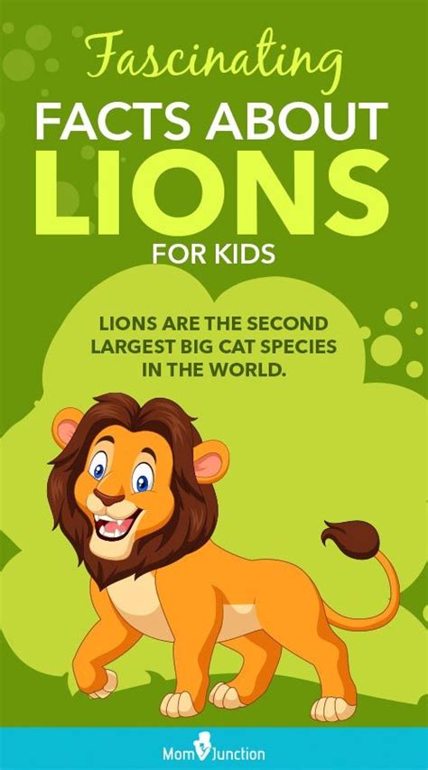 55 Interesting Lion Facts For Kids To Learn Lion Facts For Kids Fun