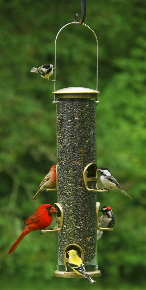 Please check our website for curbside ordering and pickup details and for updates on individual shop hours. 40+ Awesome Bird Feeders Ideas That Will Fill Your ...