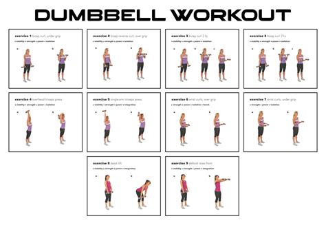 10 Best Free Printable Dumbbell Workout Poster PDF For Free At Printablee