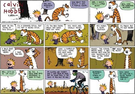 Calvin And Hobbes By Bill Watterson For December 03 1995 Gocomics
