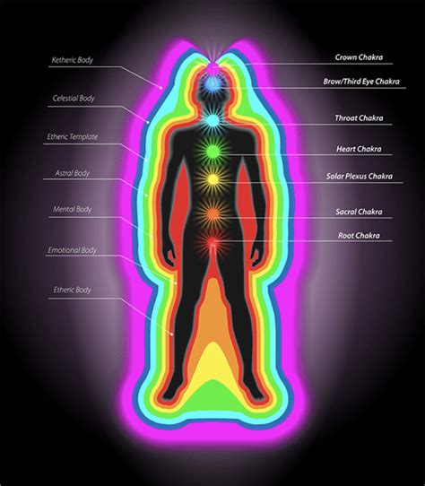 Holistic Health And Wellness Through Maximizing Your Energetic Vibration
