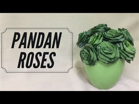 Berikut 9 manfaat daun pandan bagi kesehatan : Cara membuat bunga ros dari daun pandan I How to make ...