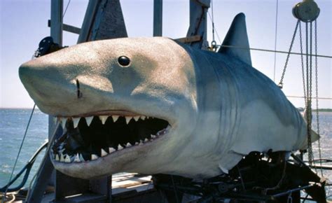 Feature How The Jaws Sequels Stand Up To The Original The Movie Buff