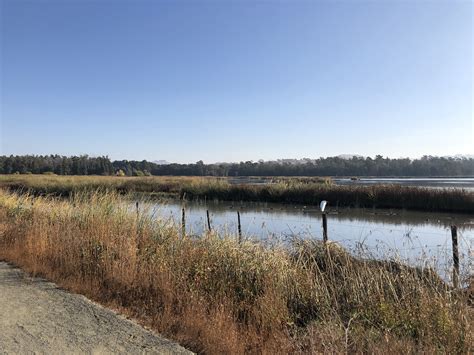 Wetlands Edge Park And Trail City Of American Canyon