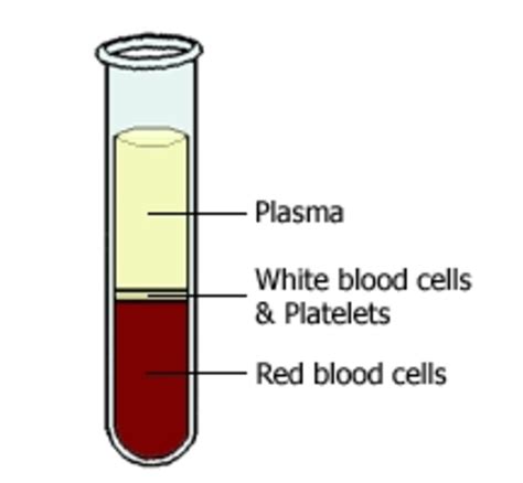 Low Platelet Count My Blood Stopped Clotting Hubpages