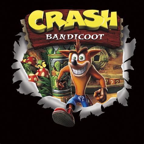 The Art That Started It All Crash Bandicoot Know Your Meme