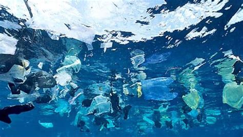 Antena 3 Tv Un Océano Ártico De Plástico Hasta Allí Llegan También