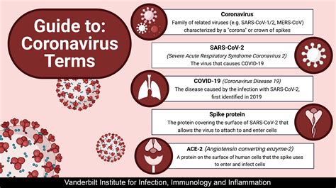 Guide To Coronavirus Terms Vanderbilt Institute For Infection Immunology And Inflammation