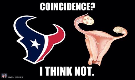 Im A Texan Fan But This Is Funny Texans Memes Nfl Memes Football