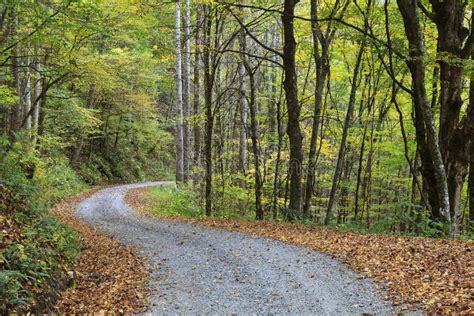 Gravel Road In The Country Stock Image Image Of Land 30272465