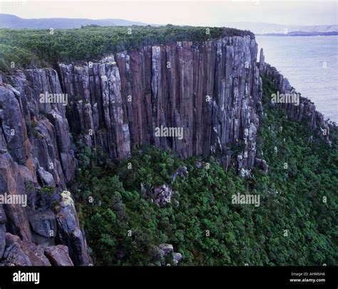 Dolerite Cliffs At Cape Raoul Tasman National Park Tasmania Australia