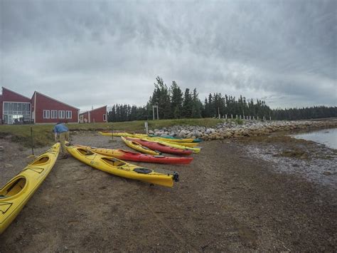 Exploring Terra Nova National Park By Land And Sea Trailing Away