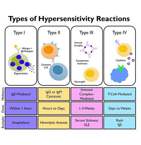 Types Of Hypersensitivity Reactions Medizzy